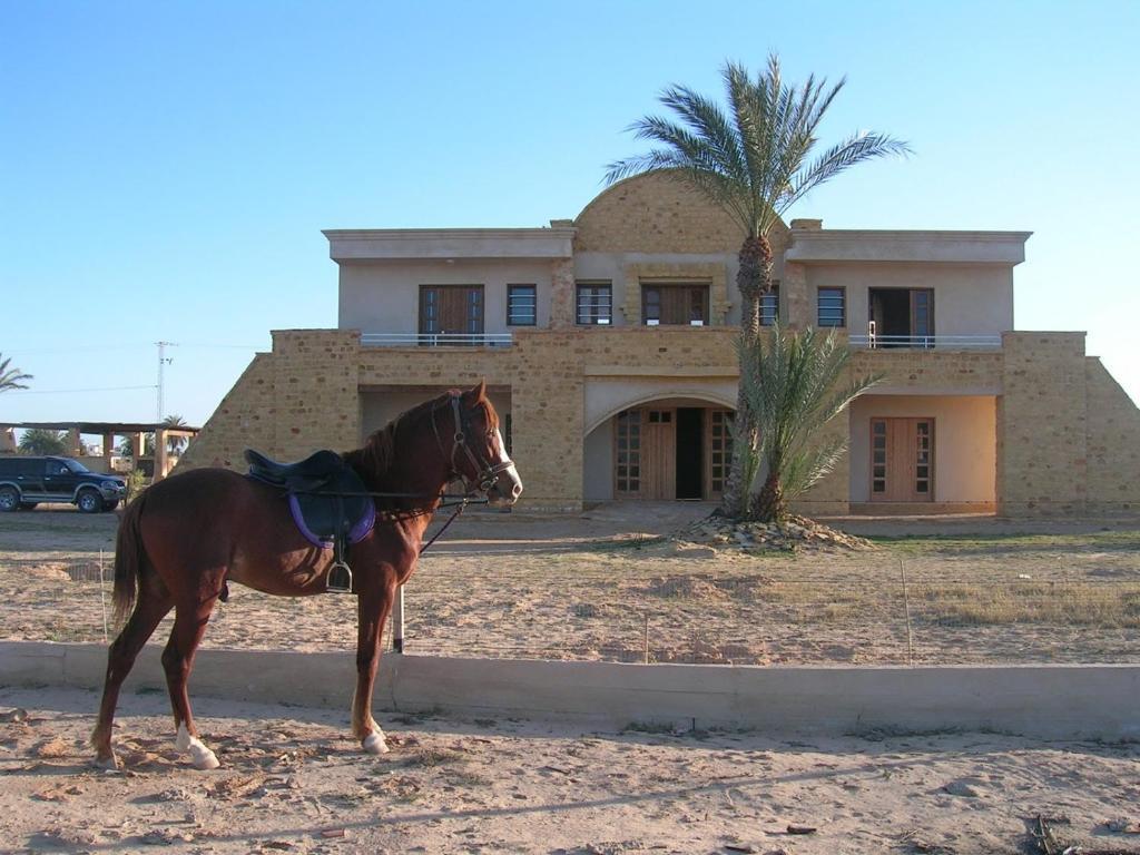 Bella Djerba Hotel Houmt Souk  Buitenkant foto